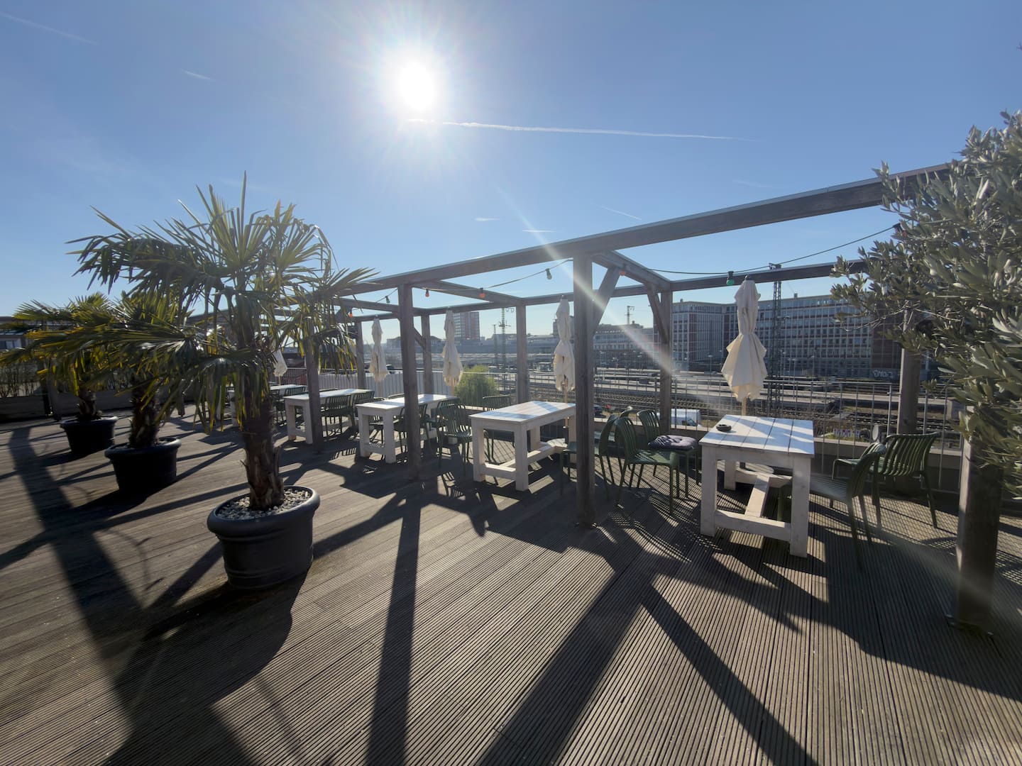Dachterrasse mit Palmen in der Sonne